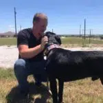 A man wearing a black t-shirt and blue jeans kneels on a grassy field, affectionately petting a black dog wearing a pink collar. The background shows a fenced area and clear skies above.