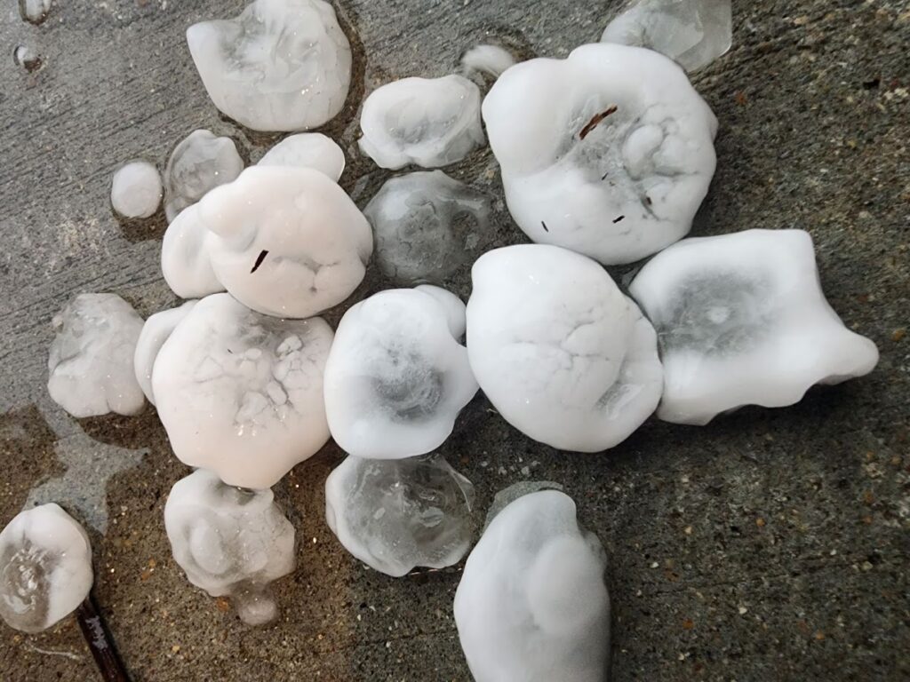 Large, irregularly shaped hailstones are scattered on a wet concrete surface. Some hailstones are partially melted, showing various textures and sizes.