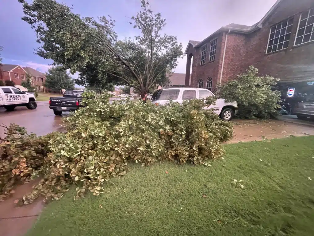 Large tree branches lie on the ground and on vehicles parked near a brick building, blocking the sidewalk and street after storm damage. The sky appears cloudy, with leaves scattered across the scene.
